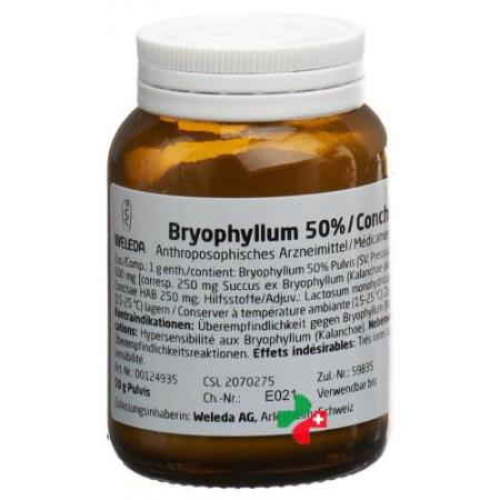 Weleda Bryophyllum 50%/Conchae 50% aa Plv 50 g - PrimeCare Global